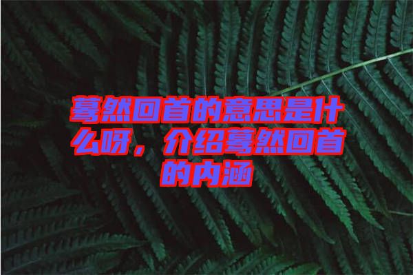 驀然回首的意思是什么呀，介紹驀然回首的內(nèi)涵
