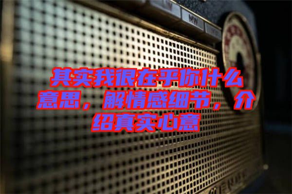 其實我很在乎你什么意思，解情感細(xì)節(jié)，介紹真實心意