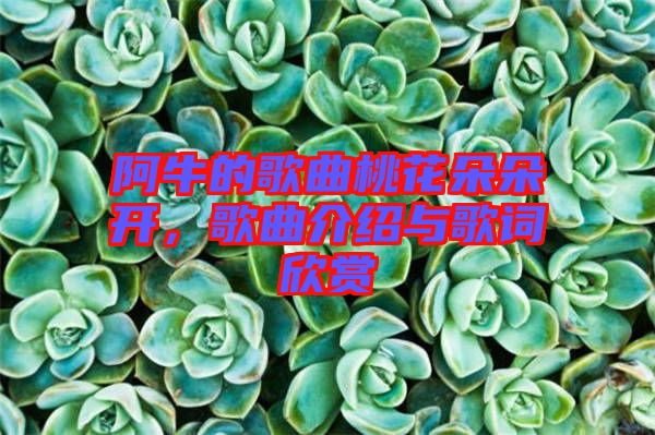 阿牛的歌曲桃花朵朵開，歌曲介紹與歌詞欣賞