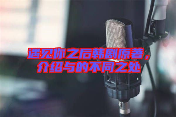 遇見你之后韓劇原著，介紹與的不同之處