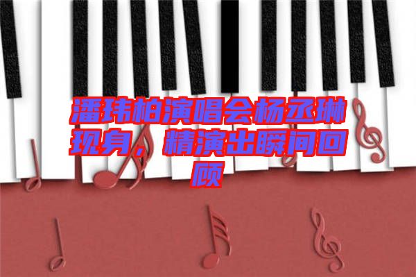 潘瑋柏演唱會楊丞琳現(xiàn)身，精演出瞬間回顧