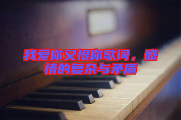 我愛你又恨你歌詞，感情的復(fù)雜與矛盾
