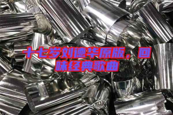 十七歲劉德華原版，回味經(jīng)典歌曲