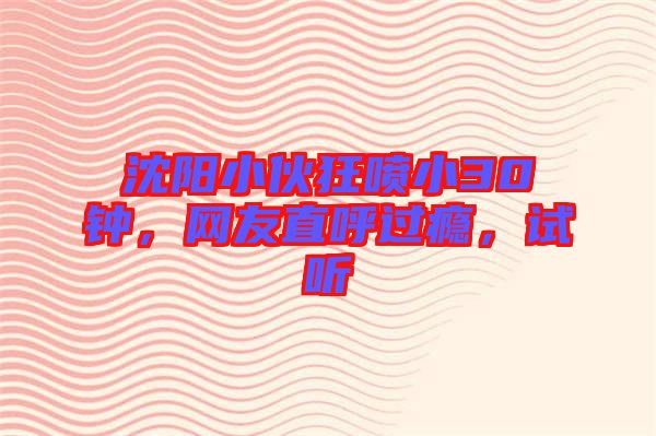 沈陽小伙狂噴小30鐘，網(wǎng)友直呼過癮，試聽