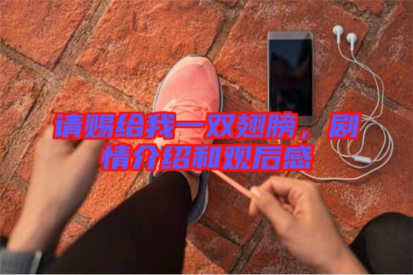 請(qǐng)賜給我一雙翅膀，劇情介紹和觀后感