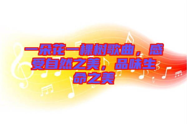 一朵花一棵樹歌曲，感受自然之美，品味生命之美