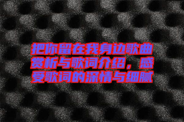 把你留在我身邊歌曲賞析與歌詞介紹，感受歌詞的深情與細膩