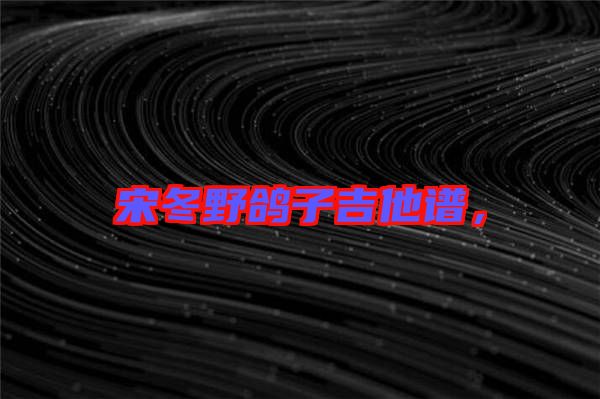 宋冬野鴿子吉他譜，