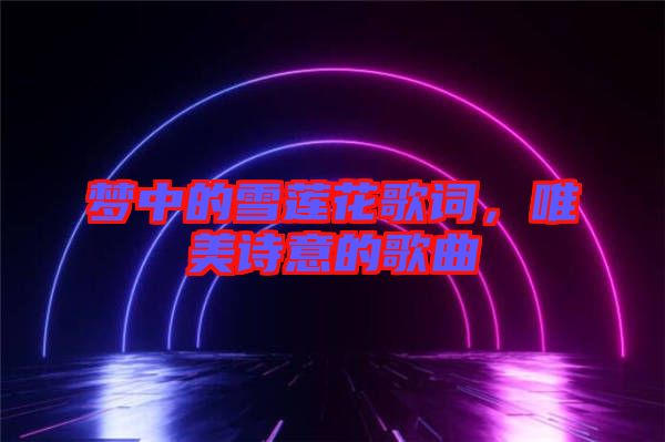 夢(mèng)中的雪蓮花歌詞，唯美詩(shī)意的歌曲