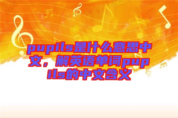 pupils是什么意思中文，解英語(yǔ)單詞pupils的中文含義