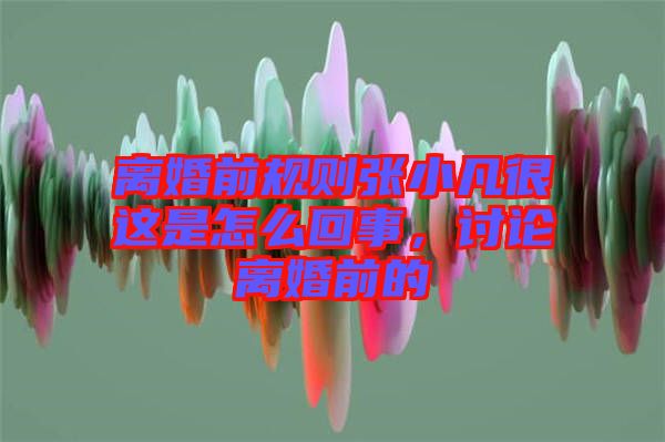 離婚前規(guī)則張小凡很這是怎么回事，討論離婚前的