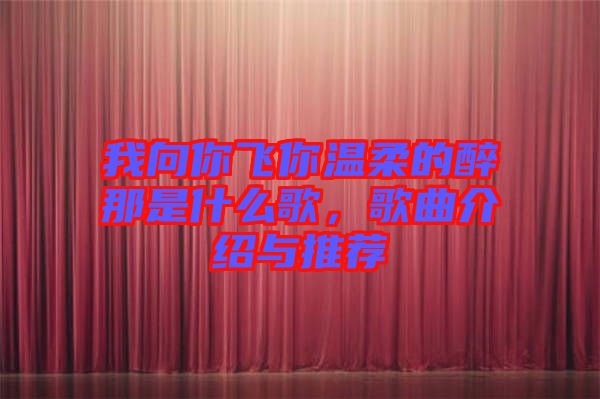 我向你飛你溫柔的醉那是什么歌，歌曲介紹與推薦