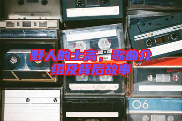 野人的士高，歌曲介紹及背后故事
