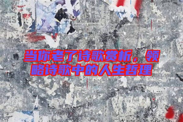 當你老了詩歌賞析，領略詩歌中的人生哲理