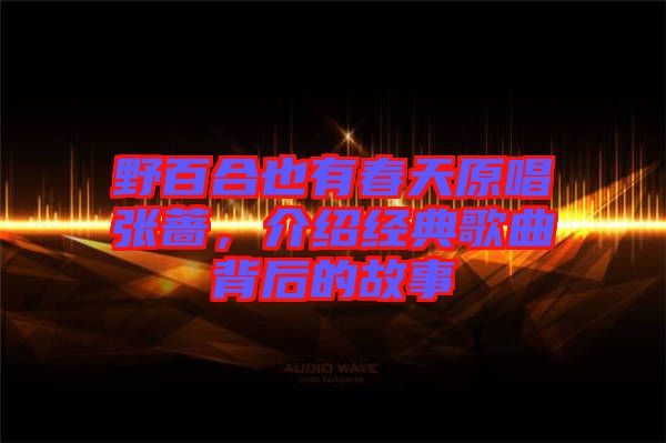 野百合也有春天原唱張薔，介紹經典歌曲背后的故事