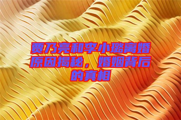 賈乃亮和李小璐離婚原因揭秘，婚姻背后的真相
