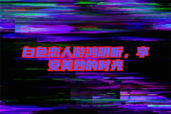 白色戀人游鴻明聽，享受美妙的時光