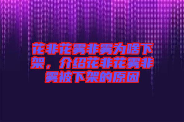 花非花霧非霧為啥下架，介紹花非花霧非霧被下架的原因
