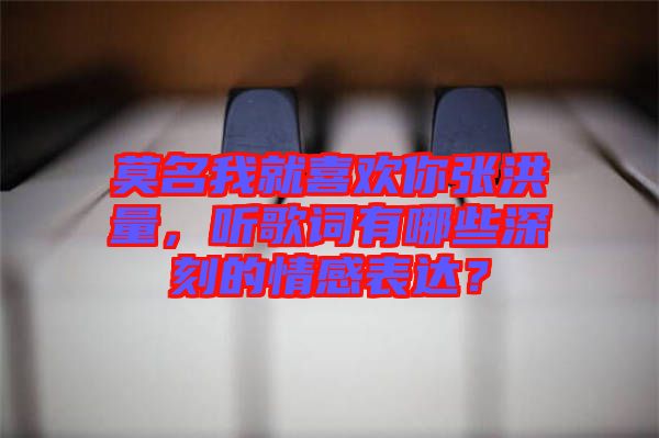 莫名我就喜歡你張洪量，聽歌詞有哪些深刻的情感表達(dá)？
