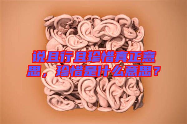 說且行且珍惜真正意思，珍惜是什么意思？