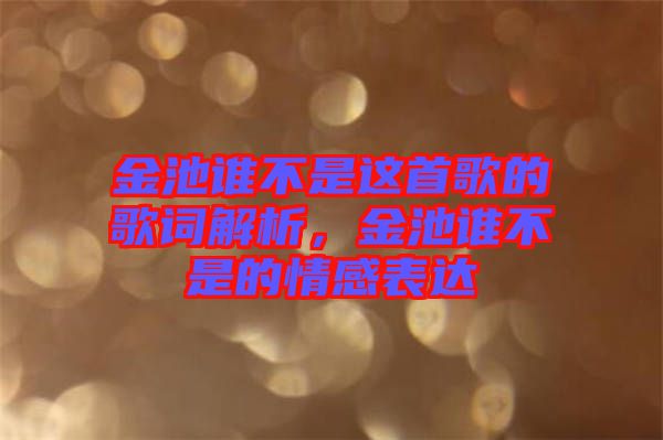 金池誰不是這首歌的歌詞解析，金池誰不是的情感表達