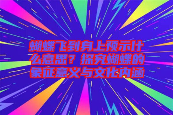 蝴蝶飛到身上預(yù)示什么意思？探究蝴蝶的象征意義與文化內(nèi)涵