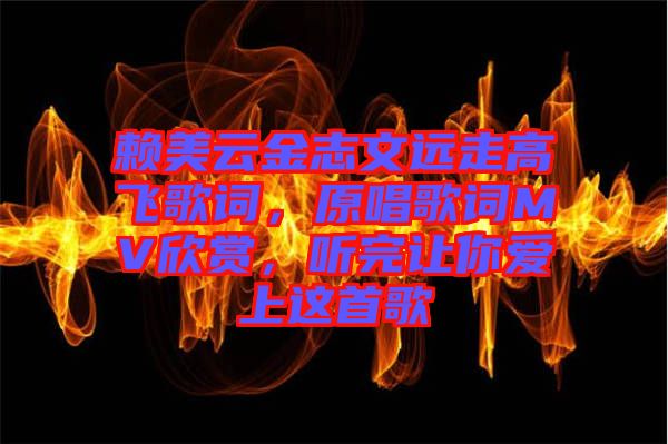 賴美云金志文遠走高飛歌詞，原唱歌詞MV欣賞，聽完讓你愛上這首歌