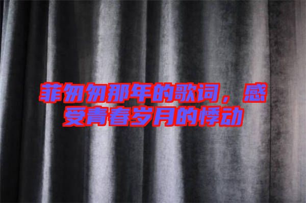 菲匆匆那年的歌詞，感受青春歲月的悸動