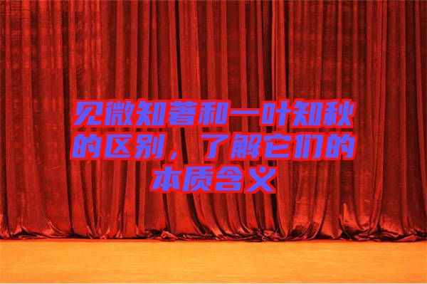 見微知著和一葉知秋的區(qū)別，了解它們的本質含義