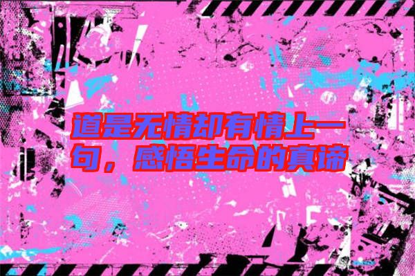 道是無情卻有情上一句，感悟生命的真諦