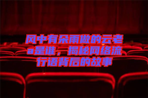 風中有朵雨做的云老a是誰，揭秘網(wǎng)絡流行語背后的故事