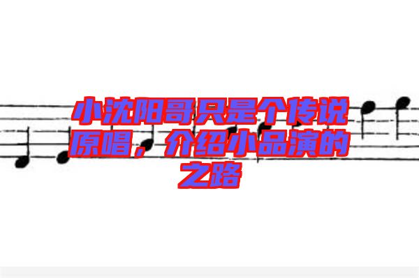 小沈陽(yáng)哥只是個(gè)傳說(shuō)原唱，介紹小品演的之路