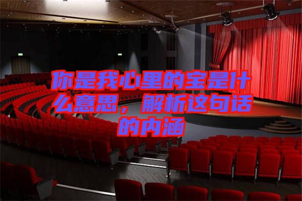 你是我心里的寶是什么意思，解析這句話的內涵