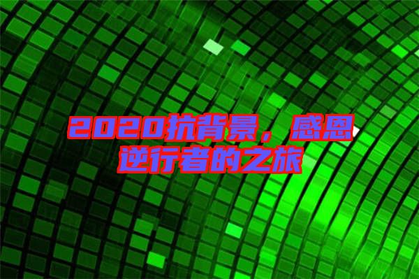 2020抗背景，感恩逆行者的之旅