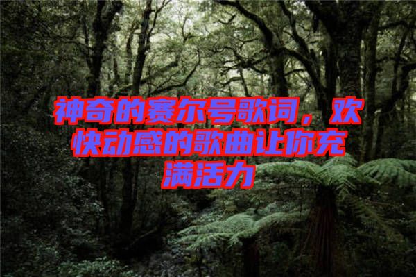 神奇的賽爾號(hào)歌詞，歡快動(dòng)感的歌曲讓你充滿活力