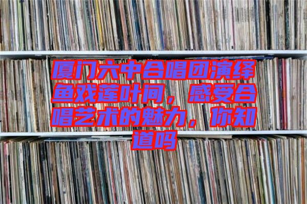 廈門(mén)六中合唱團(tuán)演繹魚(yú)戲蓮葉間，感受合唱藝術(shù)的魅力，你知道嗎