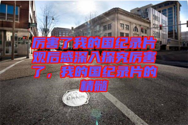 厲害了我的國紀(jì)錄片觀后感深入探究厲害了，我的國紀(jì)錄片的精髓