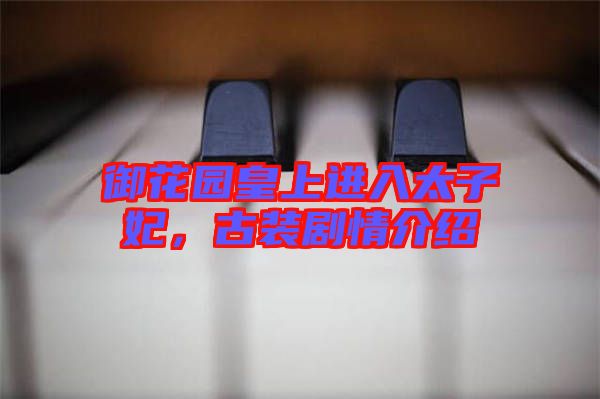 御花園皇上進入太子妃，古裝劇情介紹