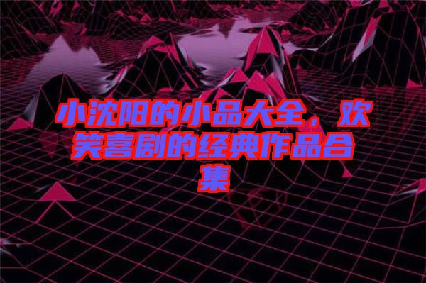 小沈陽的小品大全，歡笑喜劇的經(jīng)典作品合集