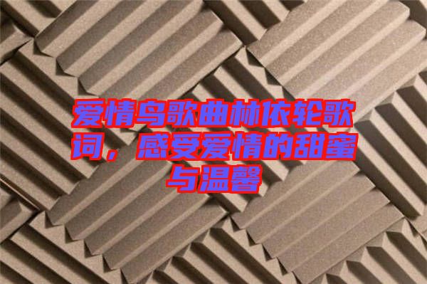 愛情鳥歌曲林依輪歌詞，感受愛情的甜蜜與溫馨
