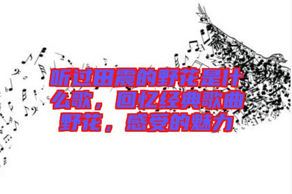 聽過田震的野花是什么歌，回憶經典歌曲野花，感受的魅力