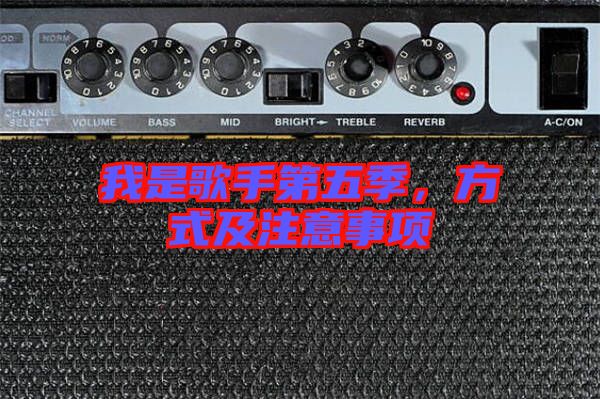 我是歌手第五季，方式及注意事項