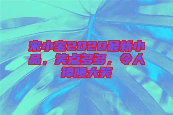 宋小寶2020最新小品，笑點(diǎn)多多，令人捧腹大笑