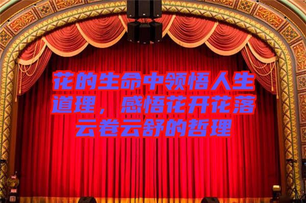 花的生命中領悟人生道理，感悟花開花落云卷云舒的哲理