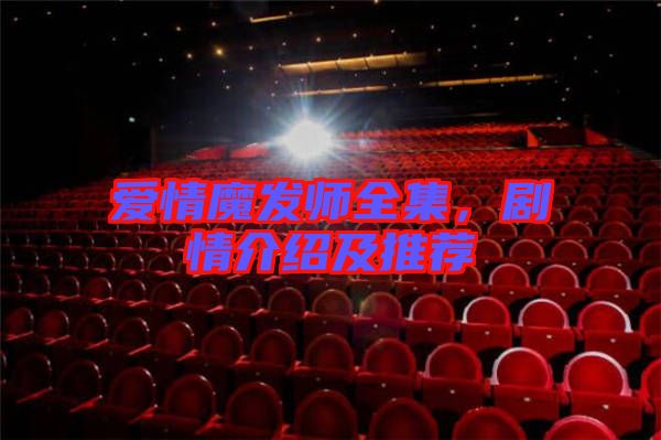 愛情魔發(fā)師全集，劇情介紹及推薦