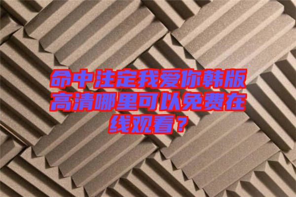 命中注定我愛你韓版高清哪里可以免費(fèi)在線觀看？