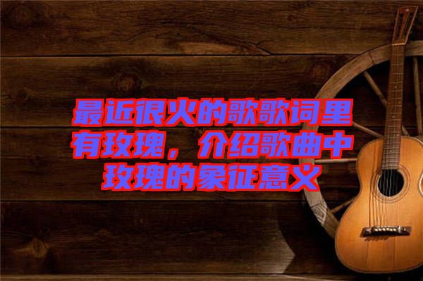 最近很火的歌歌詞里有玫瑰，介紹歌曲中玫瑰的象征意義