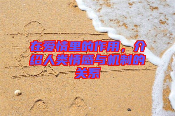 在愛情里的作用，介紹人類情感與機(jī)制的關(guān)系
