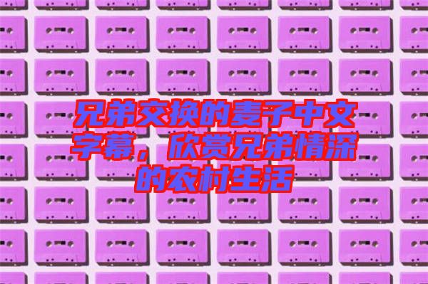 兄弟交換的麥子中文字幕，欣賞兄弟情深的農(nóng)村生活