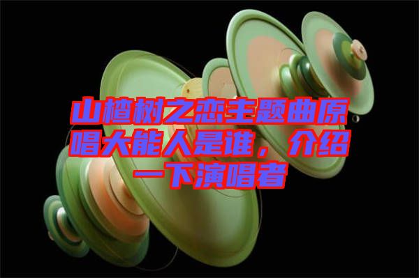 山楂樹之戀主題曲原唱大能人是誰(shuí)，介紹一下演唱者